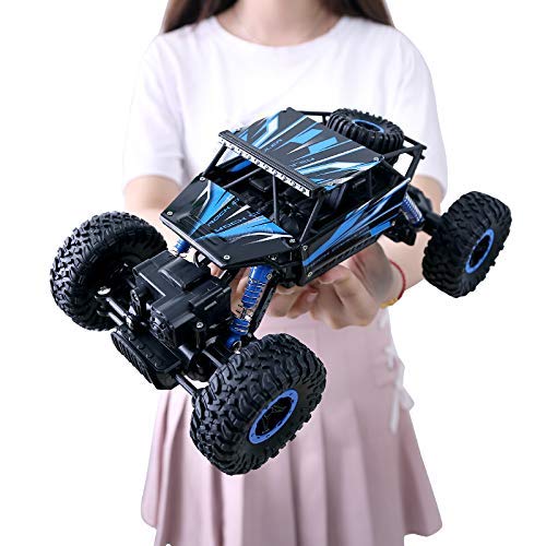 Rc monster best sale truck rock crawler