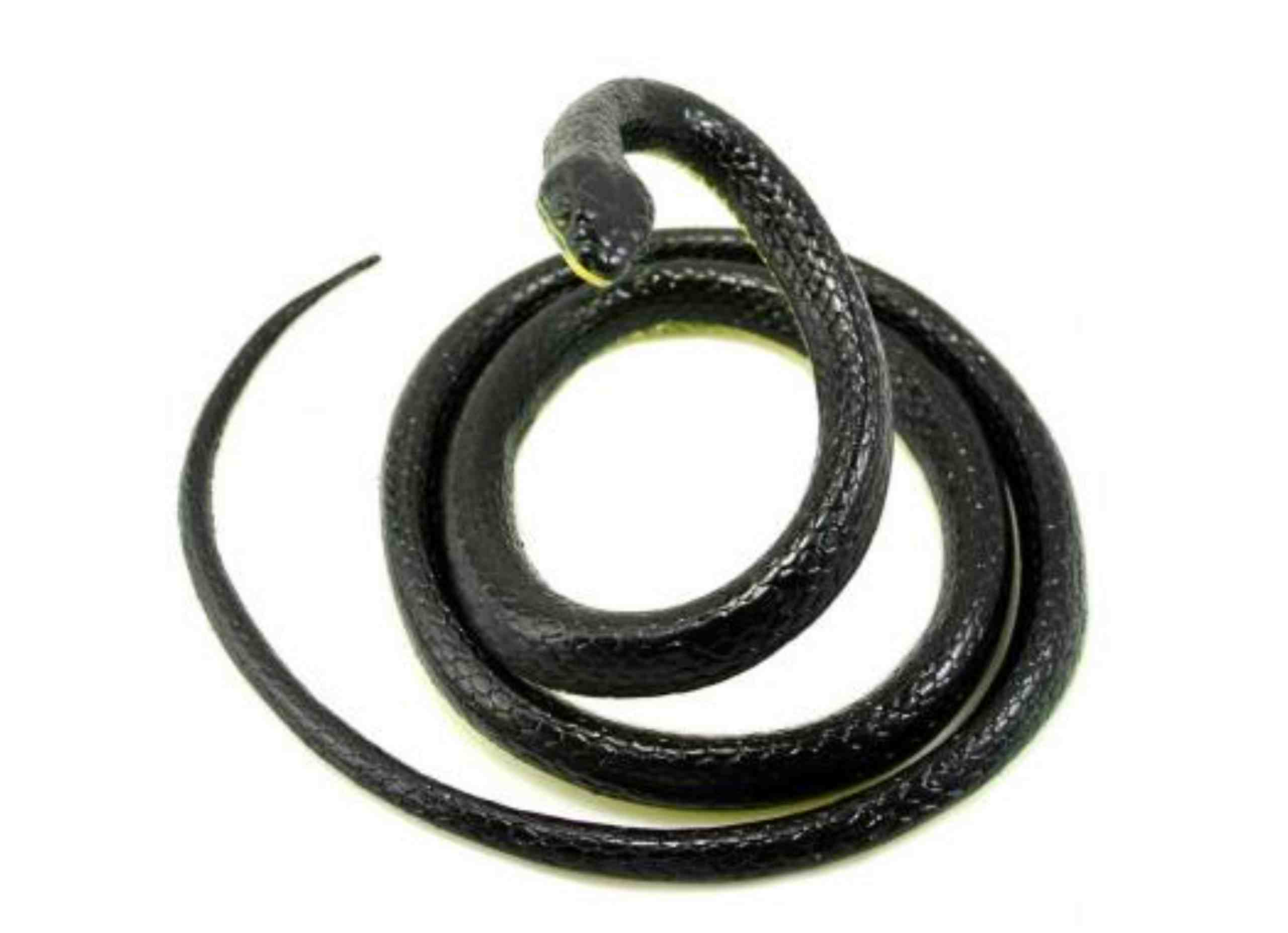 (10pcs) Realistic looking snake Rubber Jalebi Snake – Sellet