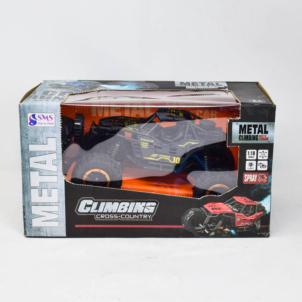 big rc cars for sale